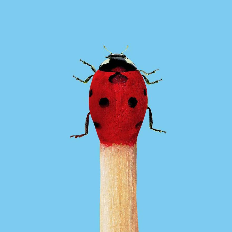 This Artist Confuses Our Minds With His Surreal Images