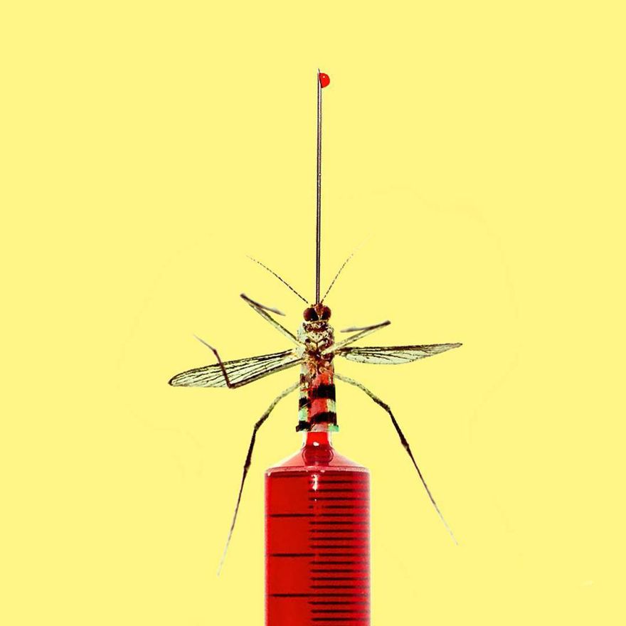 This Artist Confuses Our Minds With His Surreal Images