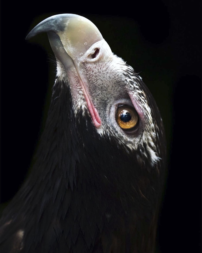 Today Is Steve Irwin's Son's 14th Birthday! He's Already An Award Winning Photographer And His Photos Show Why Today Is Steve Irwin's Son's 14th Birthday! He's Already An Award Winning Photographer And His Photos Show Why