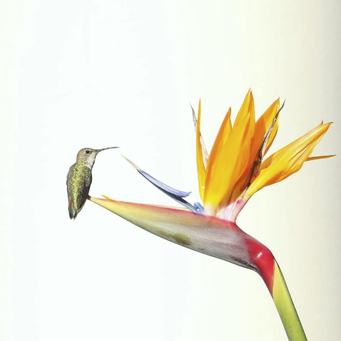 Today Is Steve Irwin's Son's 14th Birthday! He's Already An Award Winning Photographer And His Photos Show Why