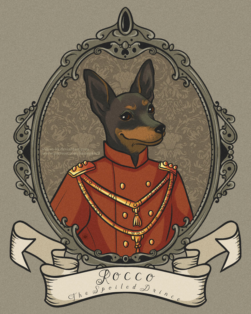 Rocco, The Spoiled Prince With His Smug Smile