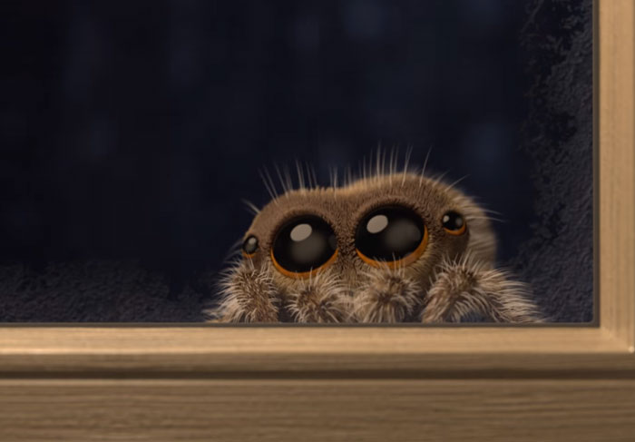 Lucas The Adorable Spider That Cured Everyone’s Arachnophobia Is Back And Wants To Come Inside Lucas The Adorable Spider That Cured Everyone’s Arachnophobia Is Back And Wants To Come Inside