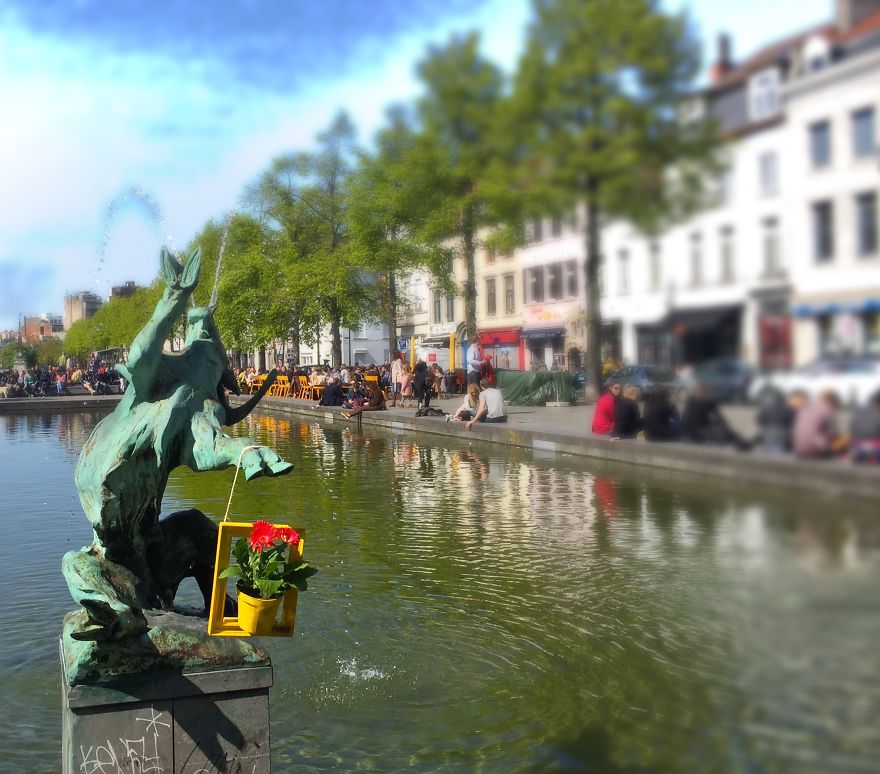 I Install Colorful Flowers In Wooden Frames All Over Cities I Install Colorful Flowers In Wooden Frames All Over Cities