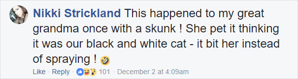 Grandma Thinks She's Been Taking Care Of Three Kittens Until Her Grandson Notices One Of Them Is Not A Kitten At All Grandma Thinks She's Been Taking Care Of Three Kittens Until Her Grandson Notices One Of Them Is Not A Kitten At All