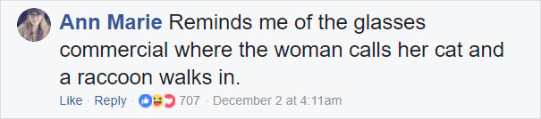 Grandma Thinks She's Been Taking Care Of Three Kittens Until Her Grandson Notices One Of Them Is Not A Kitten At All Grandma Thinks She's Been Taking Care Of Three Kittens Until Her Grandson Notices One Of Them Is Not A Kitten At All