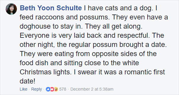 Grandma Thinks She's Been Taking Care Of Three Kittens Until Her Grandson Notices One Of Them Is Not A Kitten At All Grandma Thinks She's Been Taking Care Of Three Kittens Until Her Grandson Notices One Of Them Is Not A Kitten At All