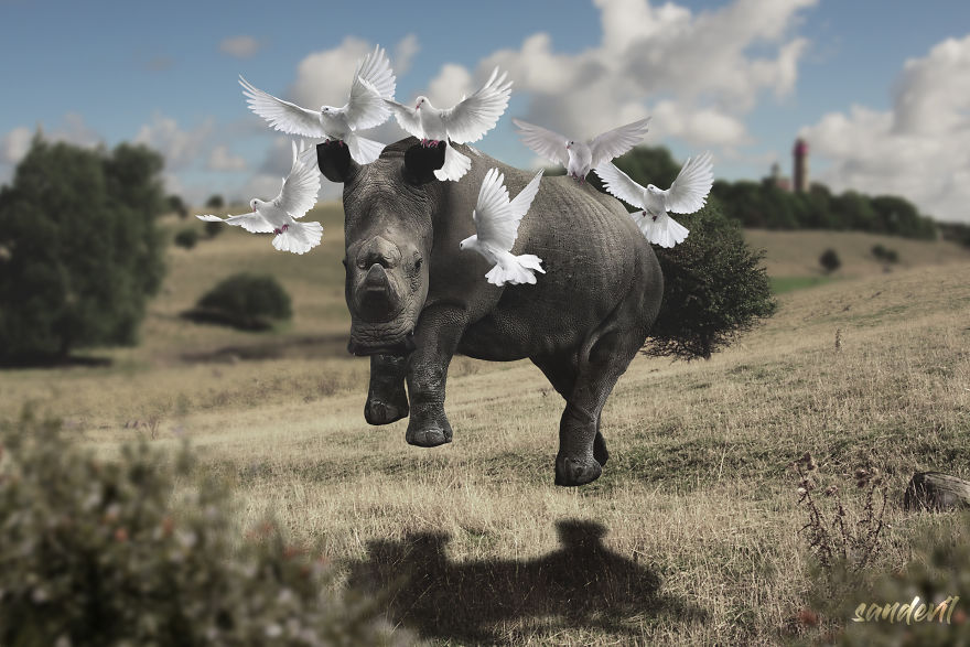 I Create Images That Tell Stories I Create Images That Tell Stories