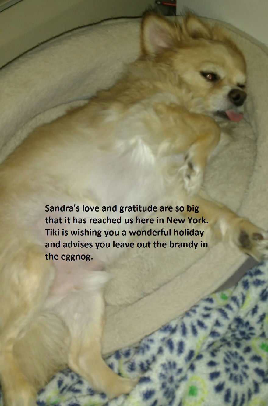 Greetings From New York, Usa!