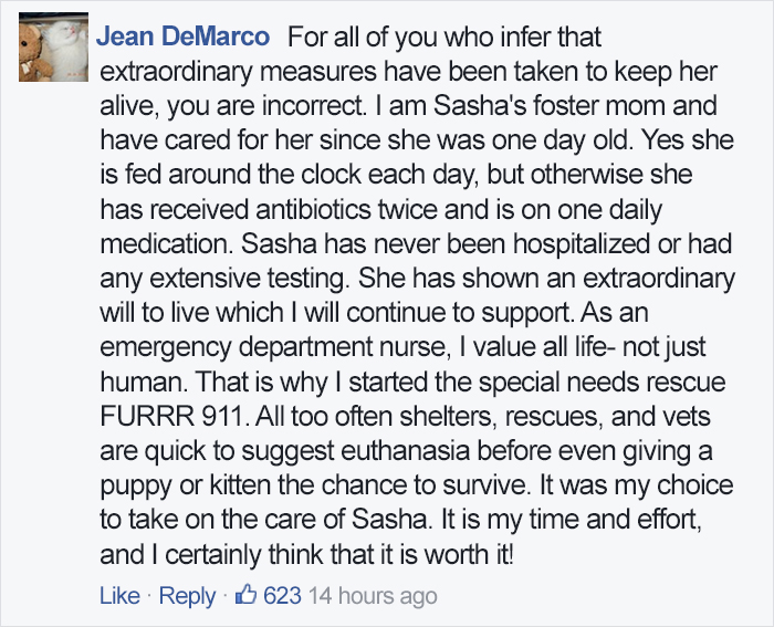 Foster Mom Refuses To Put Her Tiny Pit Bull To Sleep After It Was Born A Little Bit Different Foster Mom Refuses To Put Her Tiny Pit Bull To Sleep After It Was Born A Little Bit Different