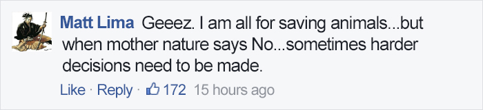 Foster Mom Refuses To Put Her Tiny Pit Bull To Sleep After It Was Born A Little Bit Different Foster Mom Refuses To Put Her Tiny Pit Bull To Sleep After It Was Born A Little Bit Different