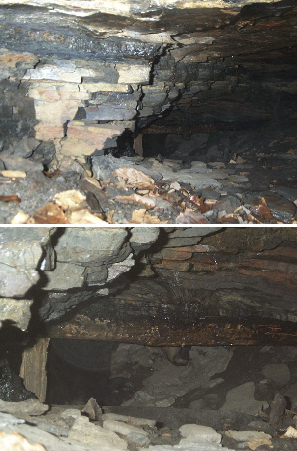 I Crawled Into A Bear Cave With Two Cousins To Video Tape Hibernating Bears When I Was A Teenager...they Were Not Asleep. Our Parents Destroyed The Tape In Hopes That It Would Prevent Future Stupidity, But These Pictures Survived