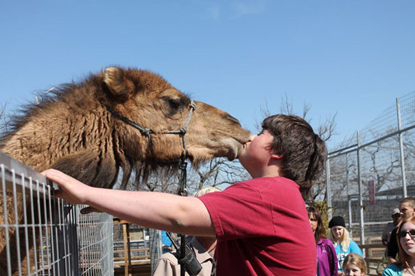 My Son Getting To First Base With A Camel