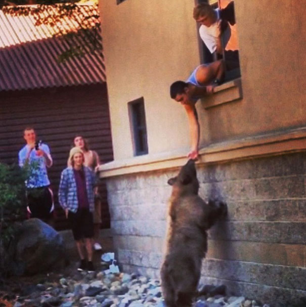 I Was Telling My Friends A Story About How A Family Of Bears Were Living On My College Campus, And Me And My Idiot Friends There Decided It Would Be A Good Idea To Try To Train The Bears To Come Up To Our Dorm Windows