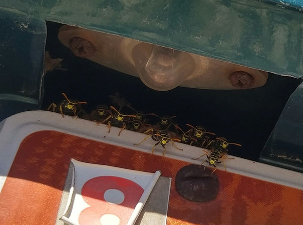 Went To Change The Decal On My License Plate. Nope