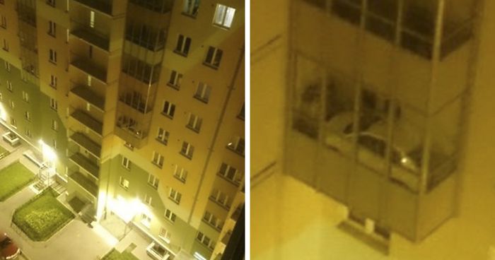 122 Pics Or It Didn’t Happen” Moments When People Had Images To Prove Their Impossible Stories”