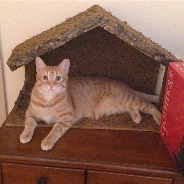 You Put Baby Jesus Away For 5 Seconds...