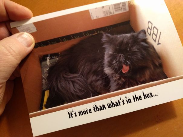 Inside, "...wishing You A Blessed Christmas!"