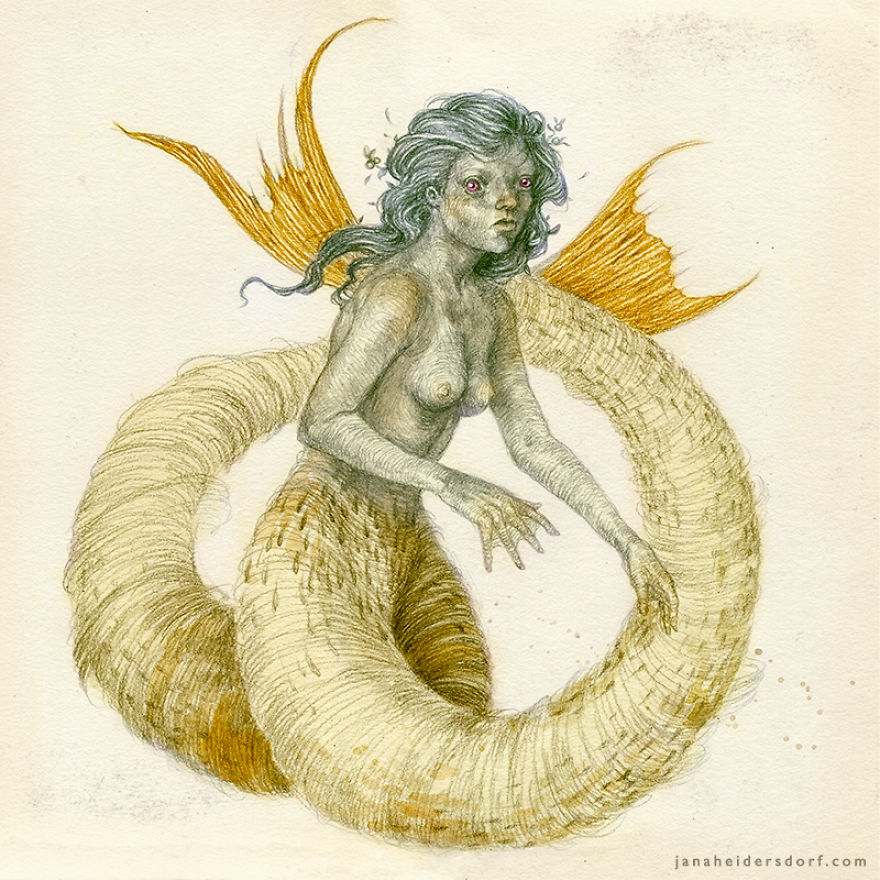 Sirena Divisa