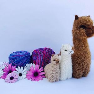 luciabenaventelazo avatar