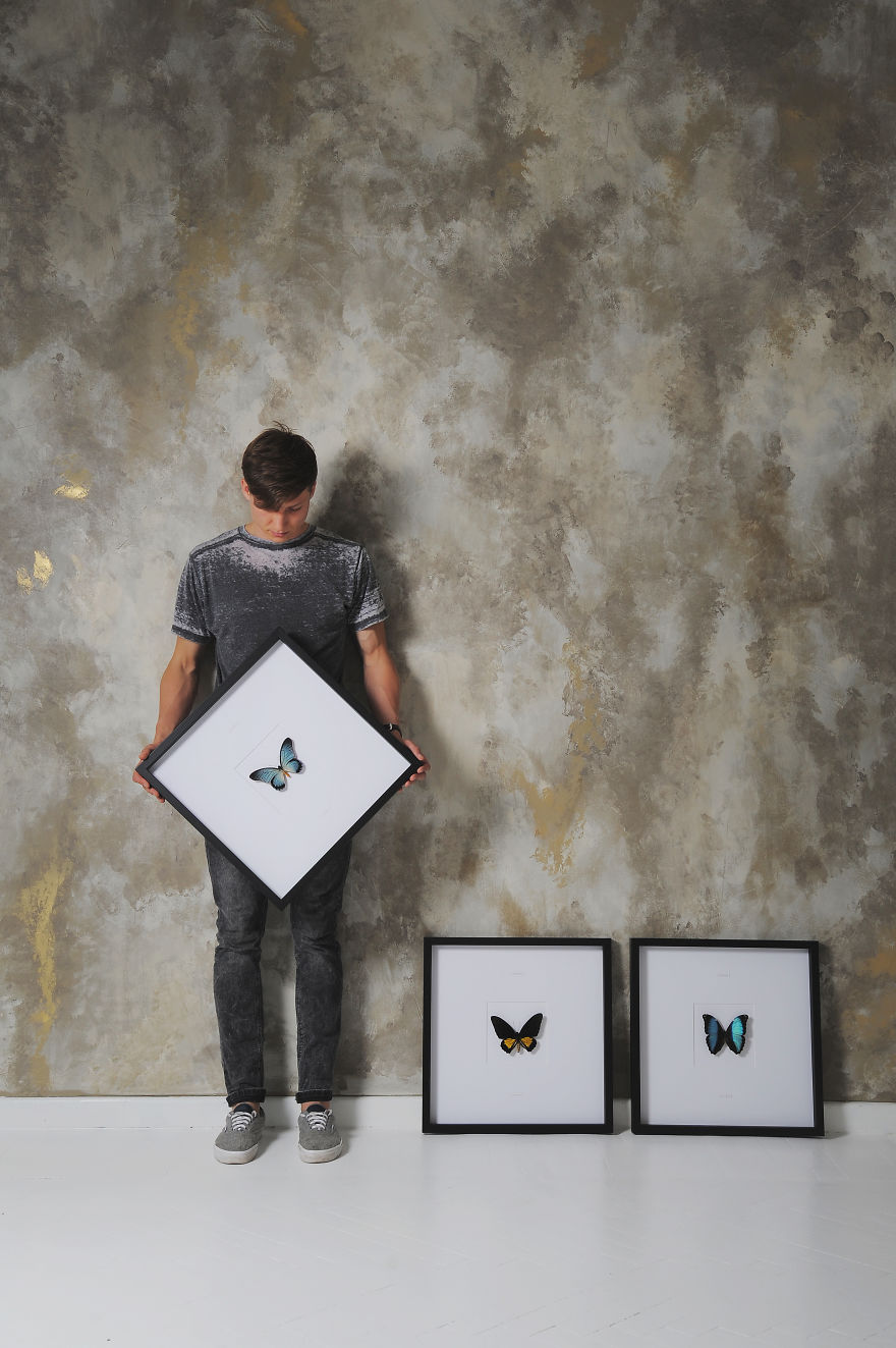 Real Butterflies Framed By Pinwings