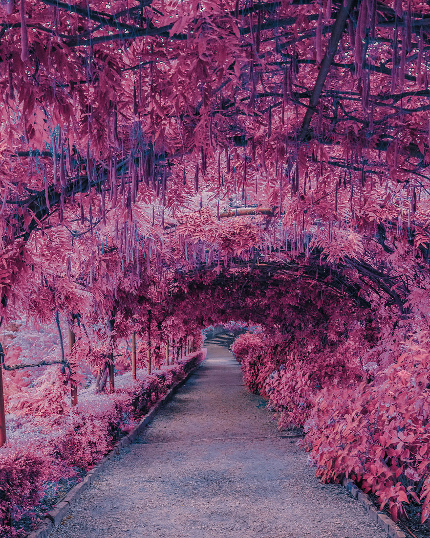 I Take Pictures Inspired By Japanese Anime