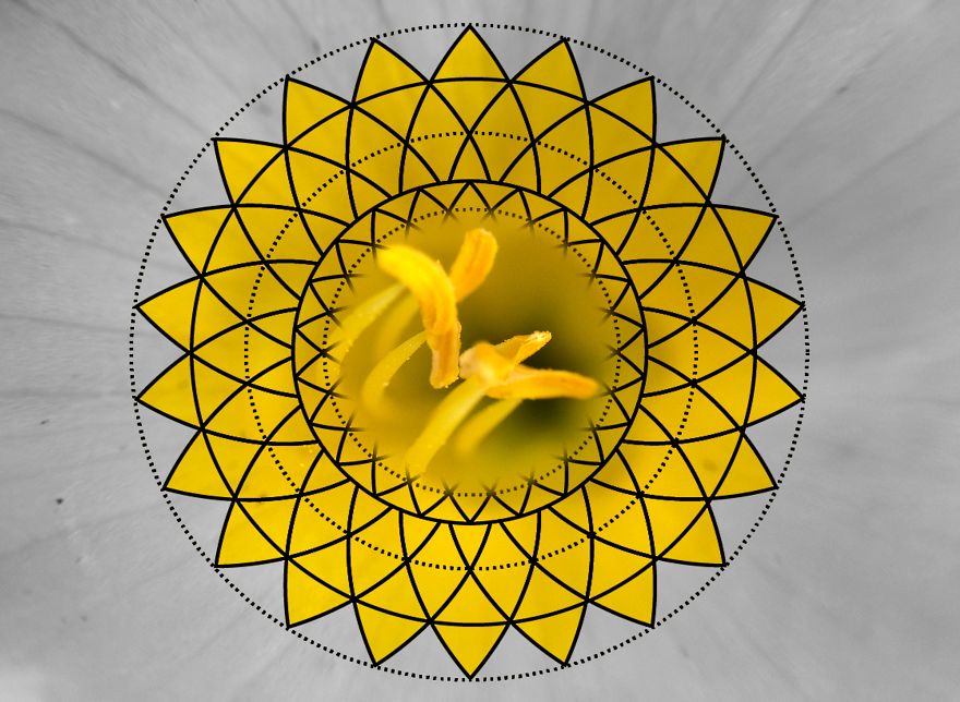 Geometry Vs. Nature: I Played With Forms And Shapes In My Pictures