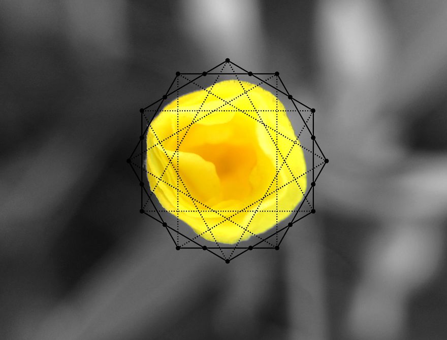 Geometry Vs. Nature: I Played With Forms And Shapes In My Pictures