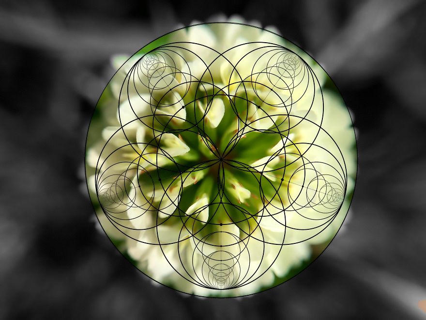 Geometry Vs. Nature: I Played With Forms And Shapes In My Pictures