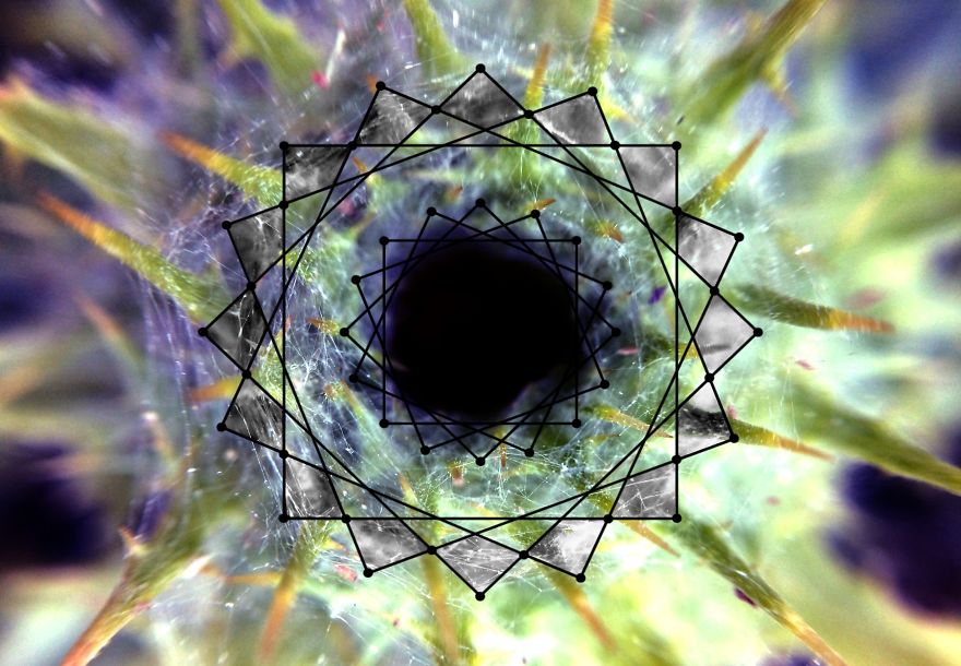 Geometry Vs. Nature: I Played With Forms And Shapes In My Pictures