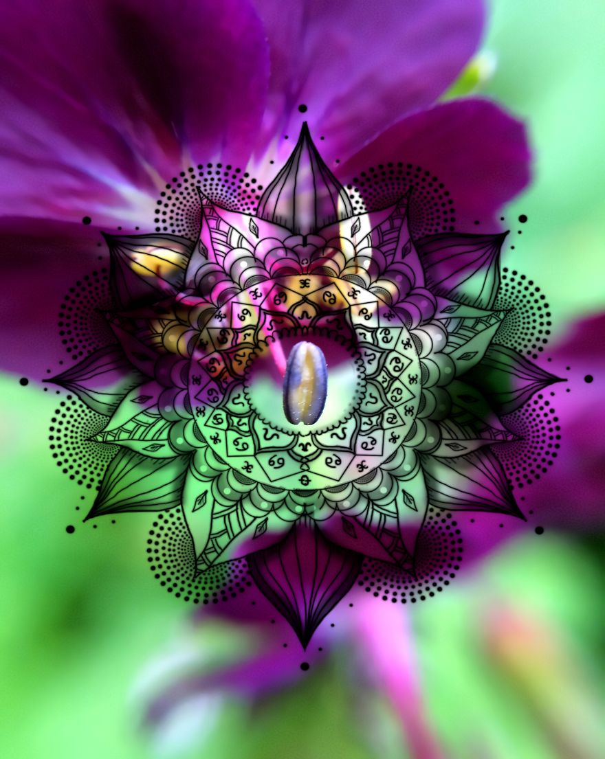 Geometry Vs. Nature: I Played With Forms And Shapes In My Pictures