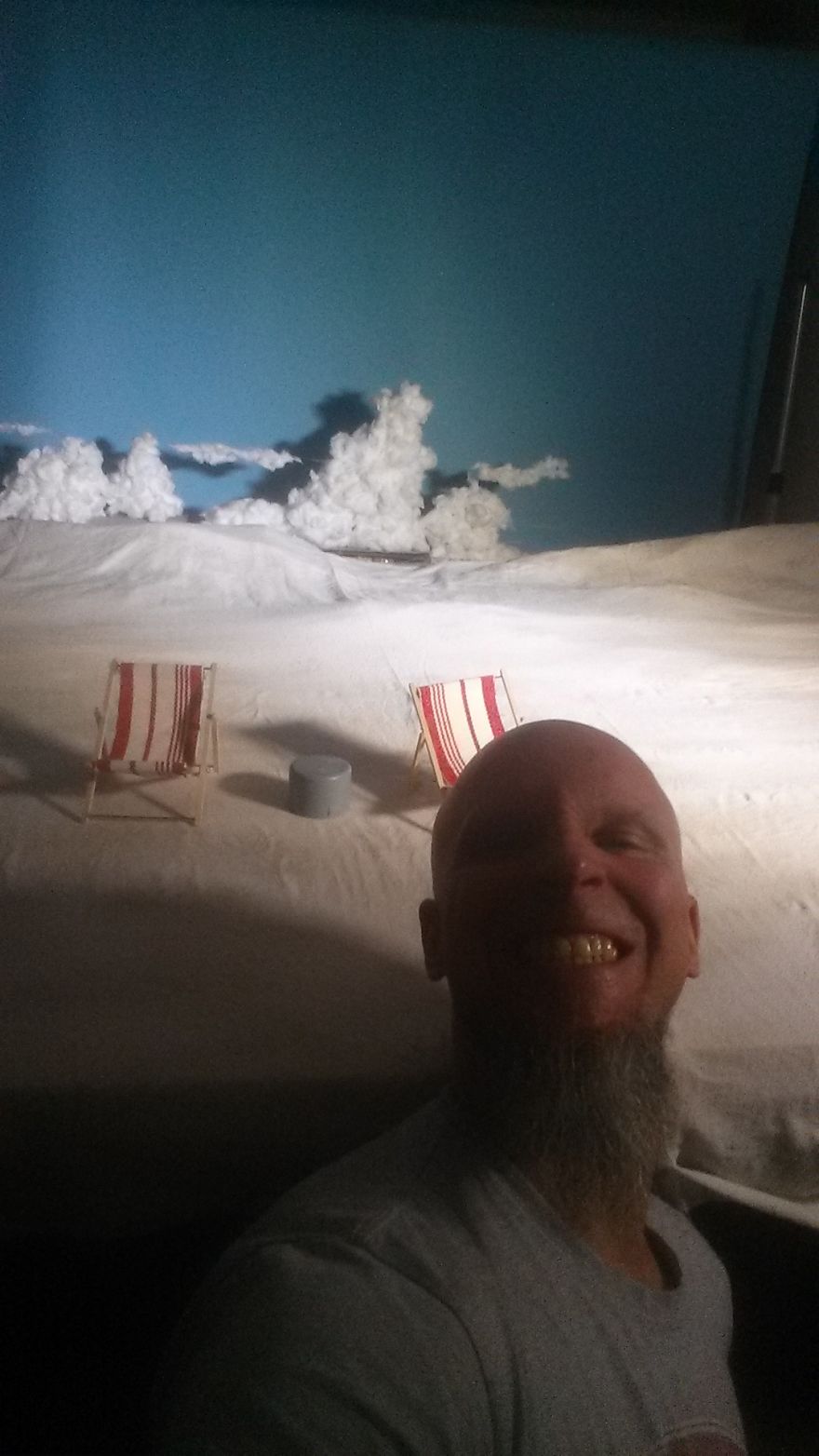 Stop Motion Goes Childrens Picture Book