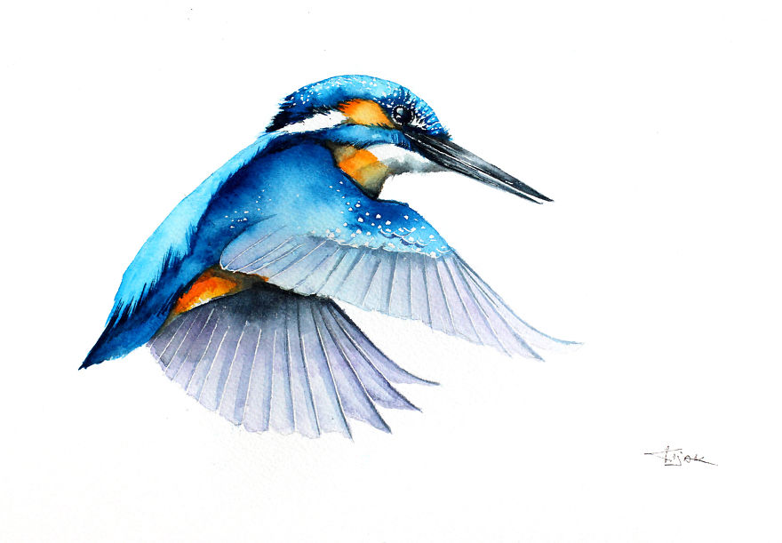 Kingfisher