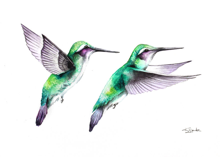 Hummingbirds
