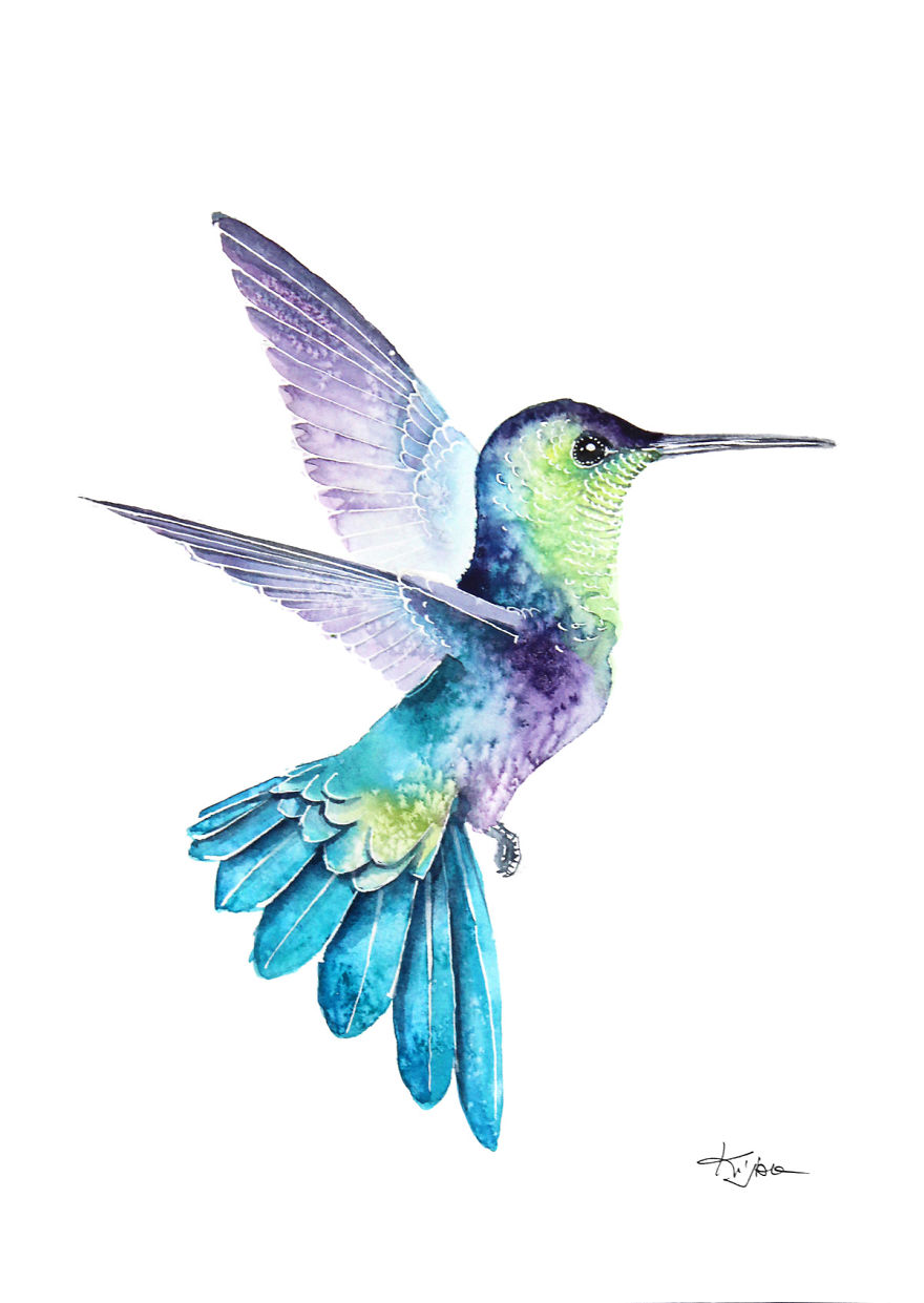 Hummingbird