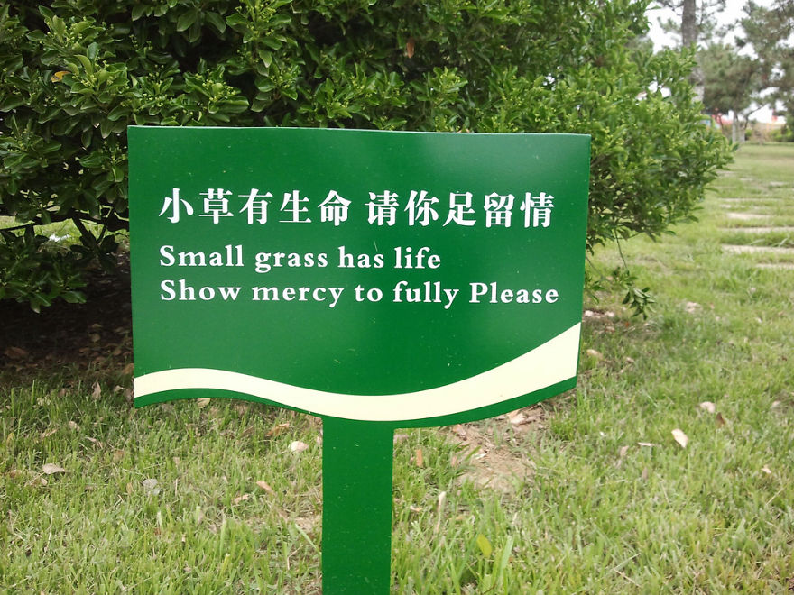 20+ Hilarious Mistranslations