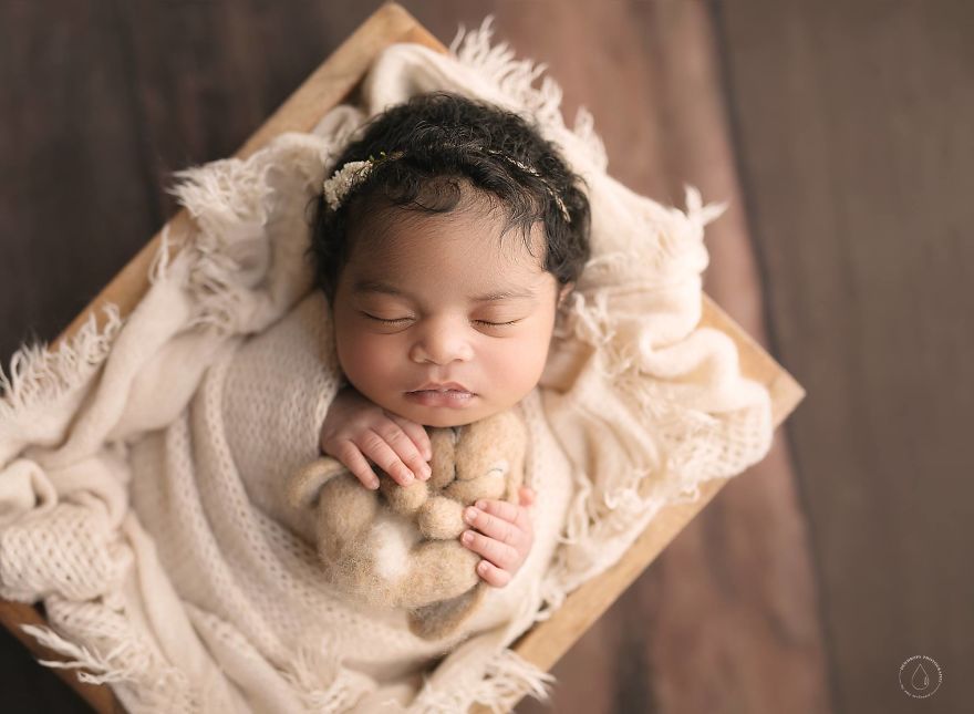 50 Best Newborn Photographers By State 50 Best Newborn Photographers By State