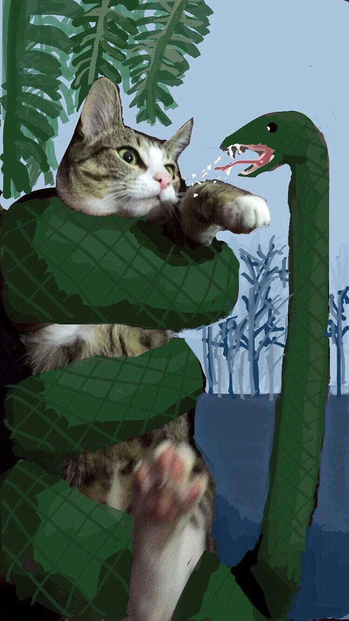 I Make Instastories With My Cat