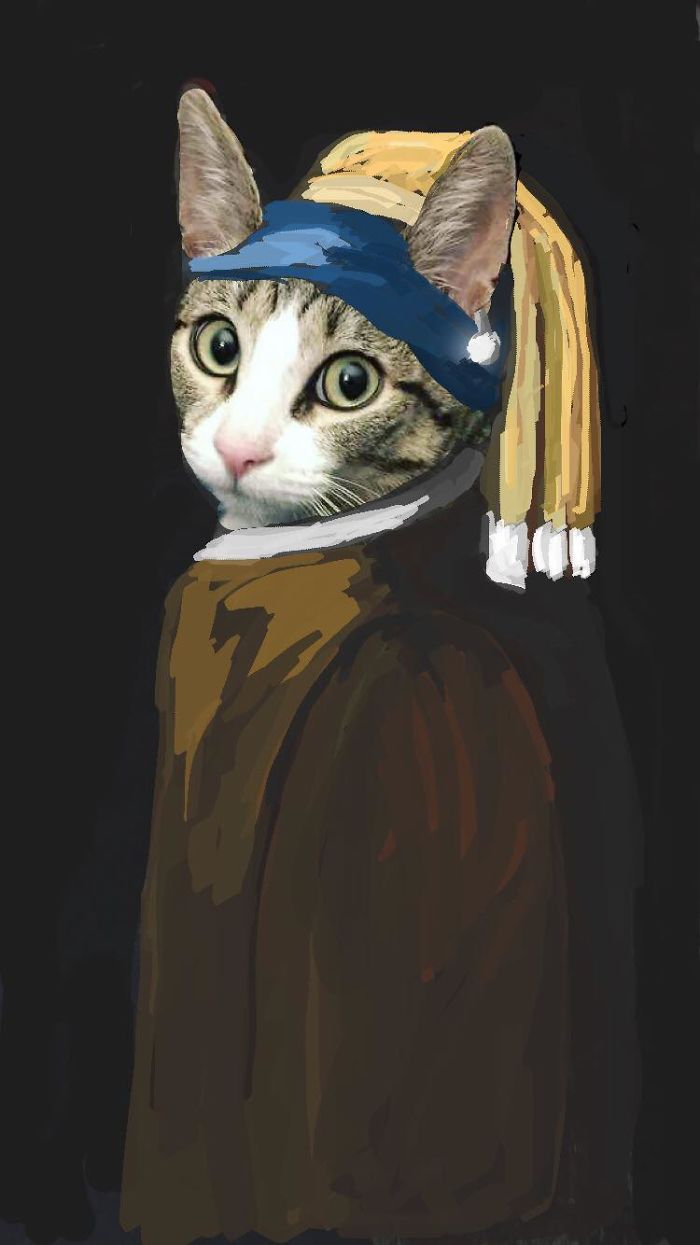 I Make Instastories With My Cat