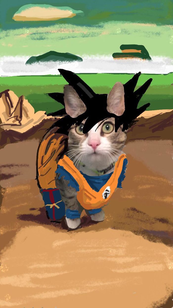 I Make Instastories With My Cat