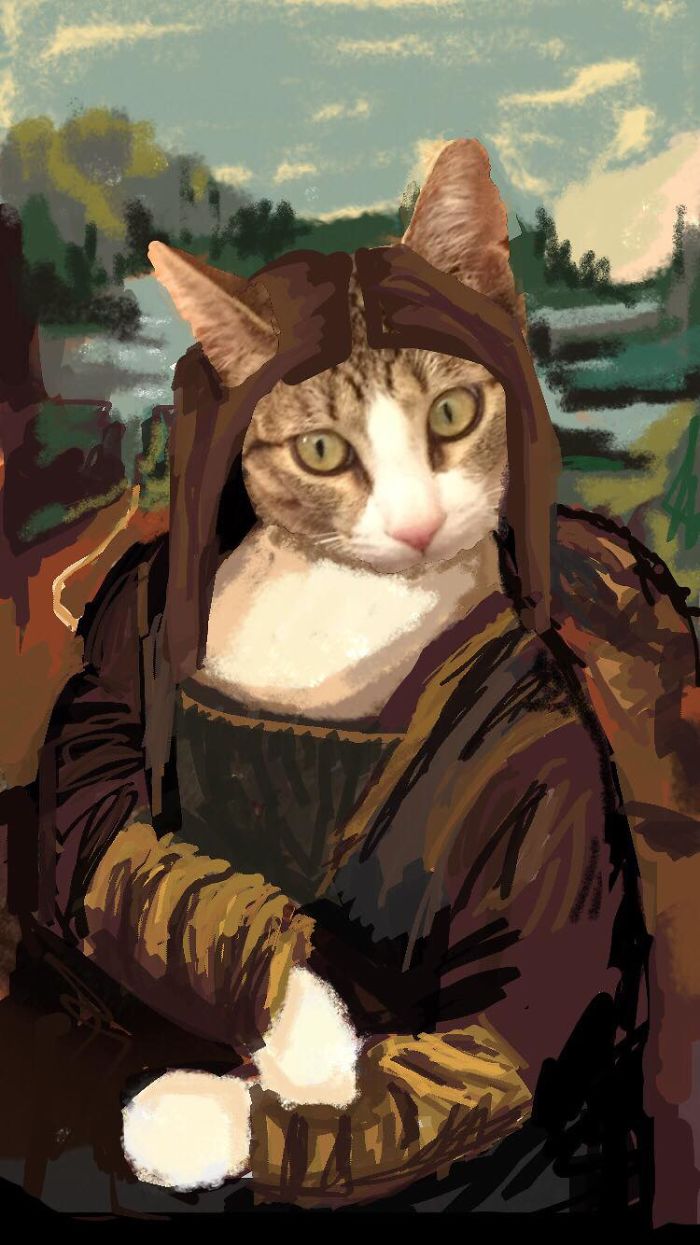 I Make Instastories With My Cat