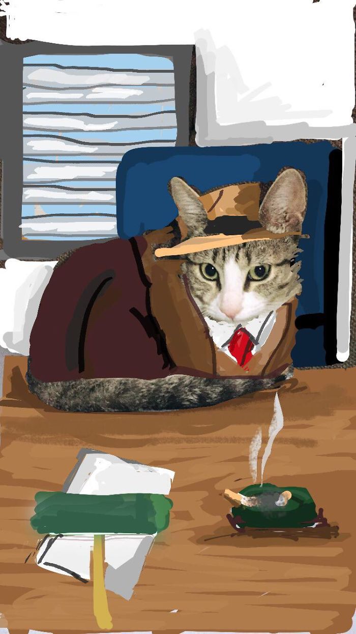 I Make Instastories With My Cat