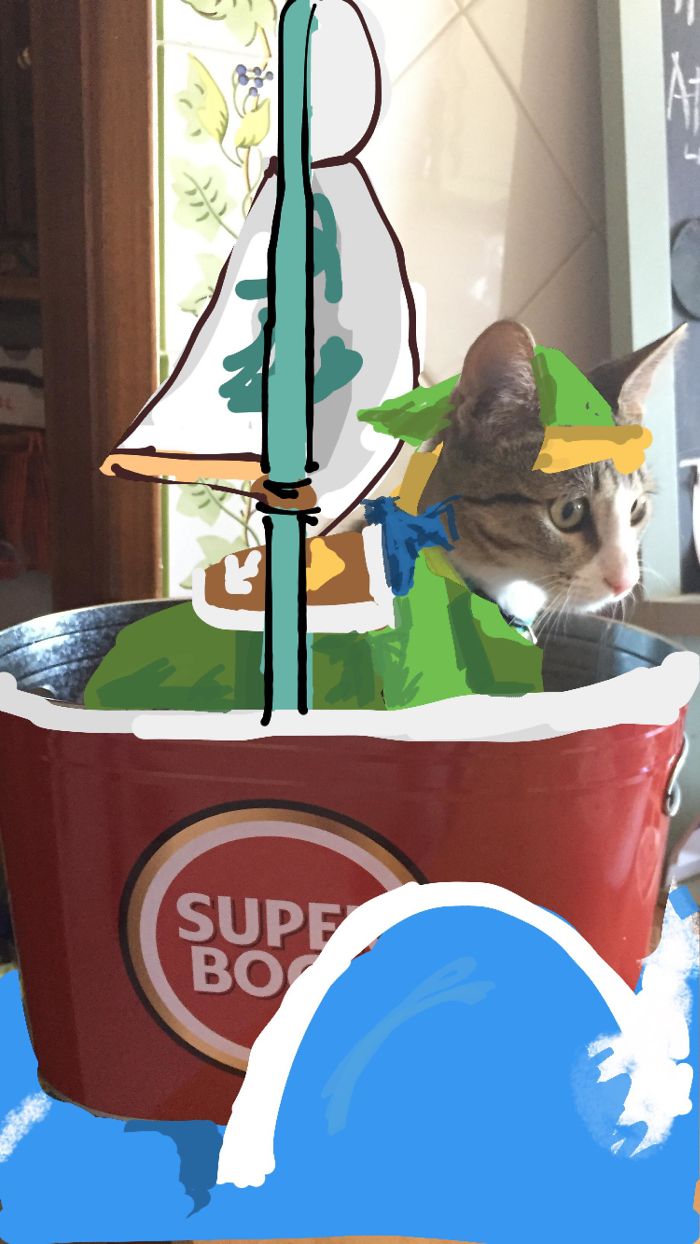 I Make Instastories With My Cat