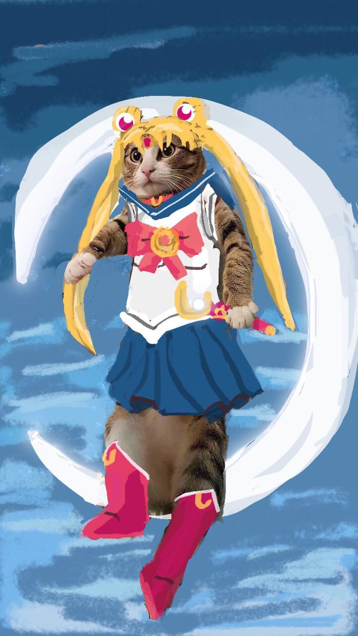 I Make Instastories With My Cat