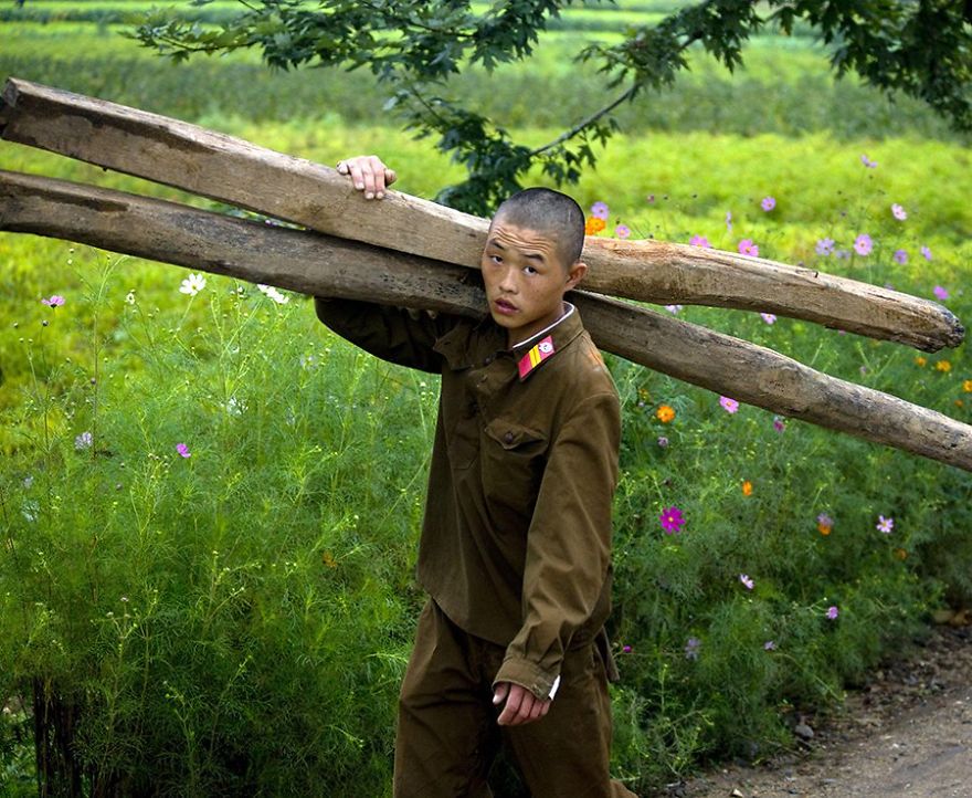 A young man carrying two timbers