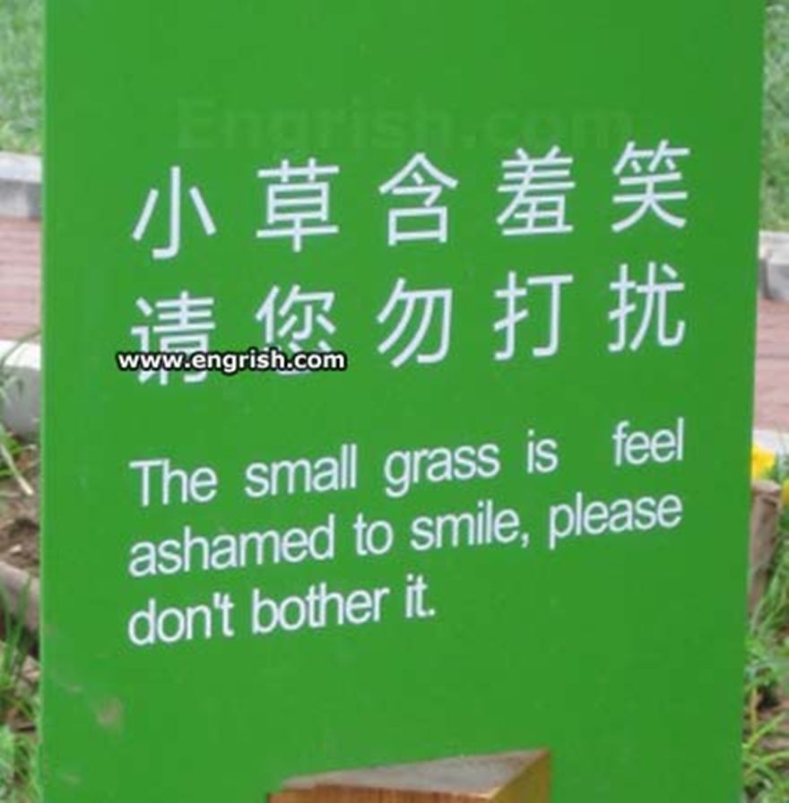 20+ Hilarious Mistranslations