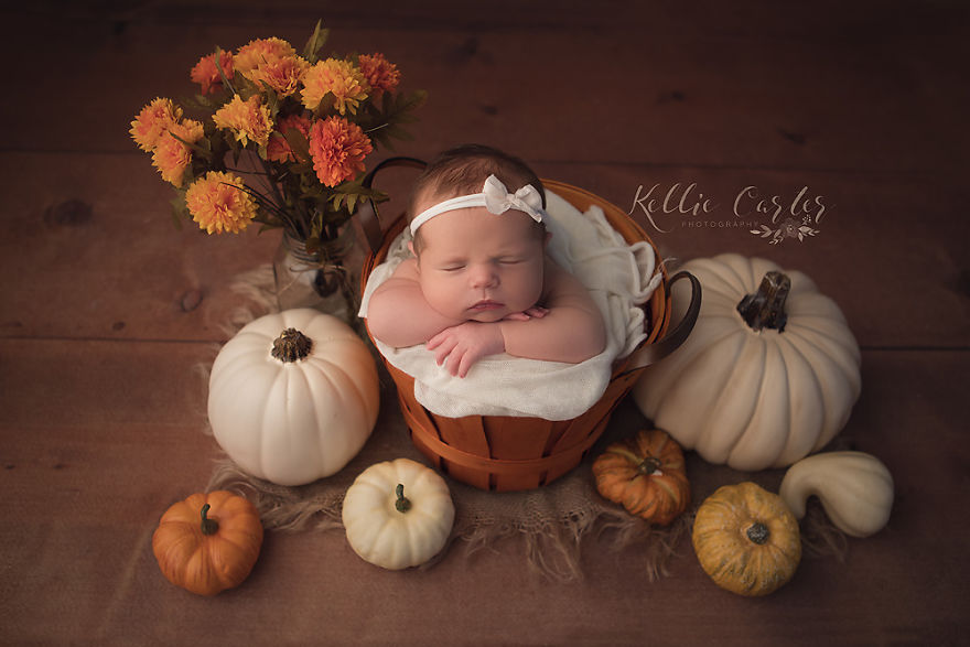 50 Best Newborn Photographers By State 50 Best Newborn Photographers By State