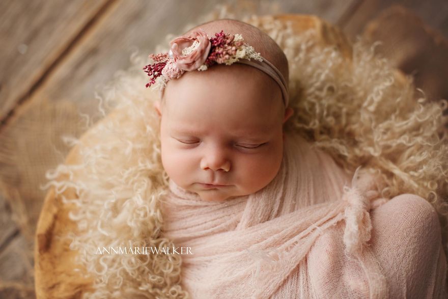 50 Best Newborn Photographers By State 50 Best Newborn Photographers By State