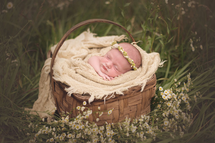50 Best Newborn Photographers By State 50 Best Newborn Photographers By State