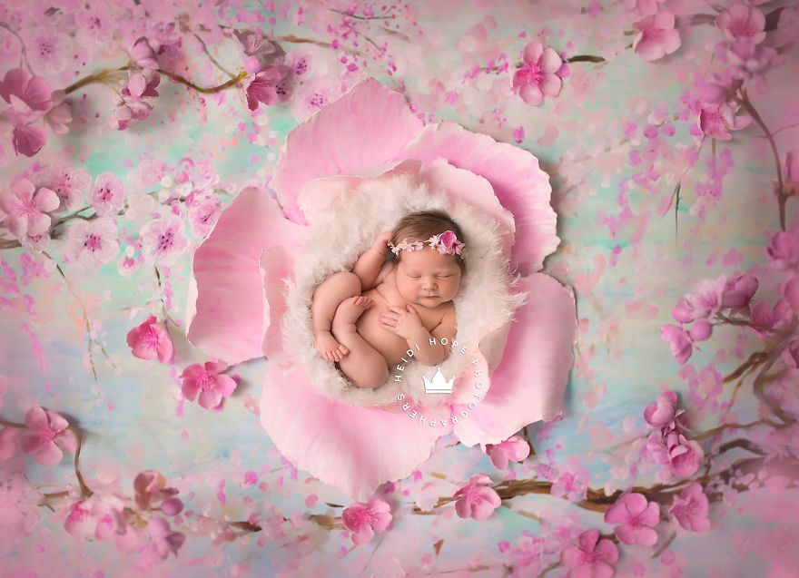 50 Best Newborn Photographers By State 50 Best Newborn Photographers By State