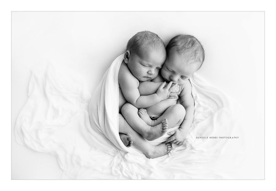 50 Best Newborn Photographers By State 50 Best Newborn Photographers By State